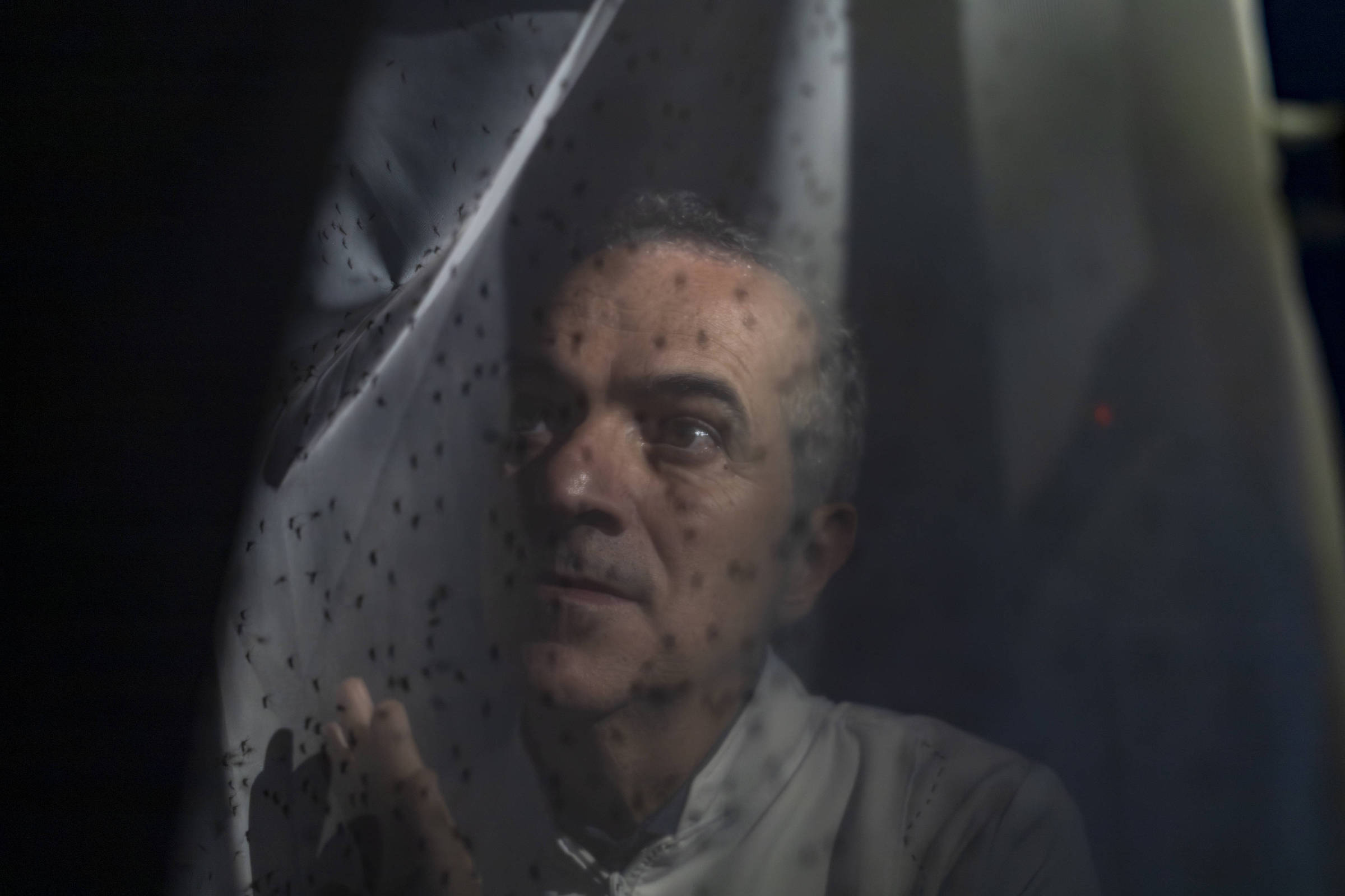 Nature cita Luciano Moreira como um dos cientistas de 2025 - 08/12/2025 - Ciência