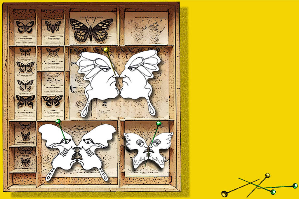 O país real desafiou certezas e ilusões normativas em 2025 - 30/12/2025 - Wilson Gomes