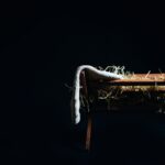 Summoned to be Witnesses - America Magazine