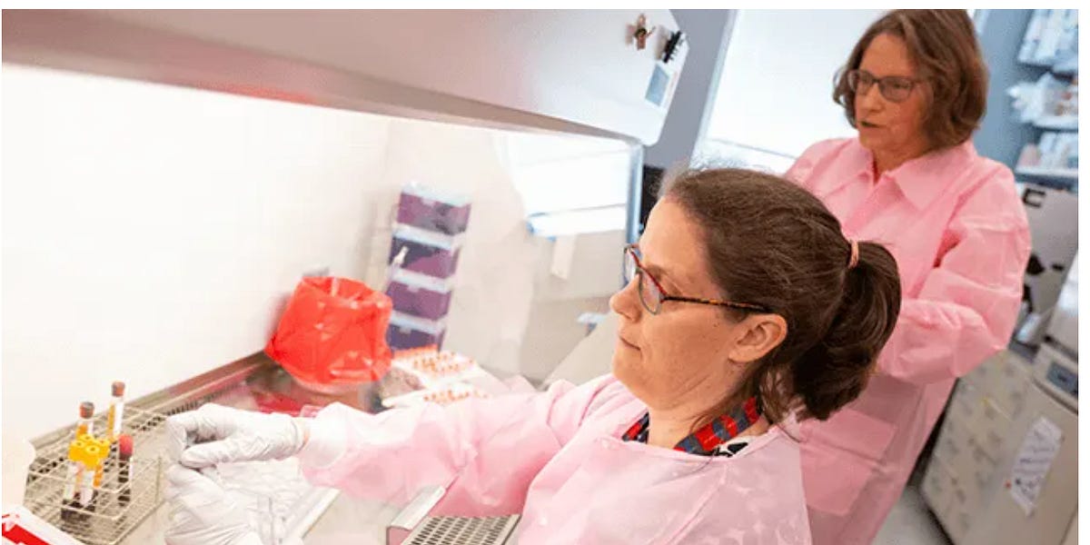 Vermont Researchers Help Test New Dengue Interventions as Disease Spreads North