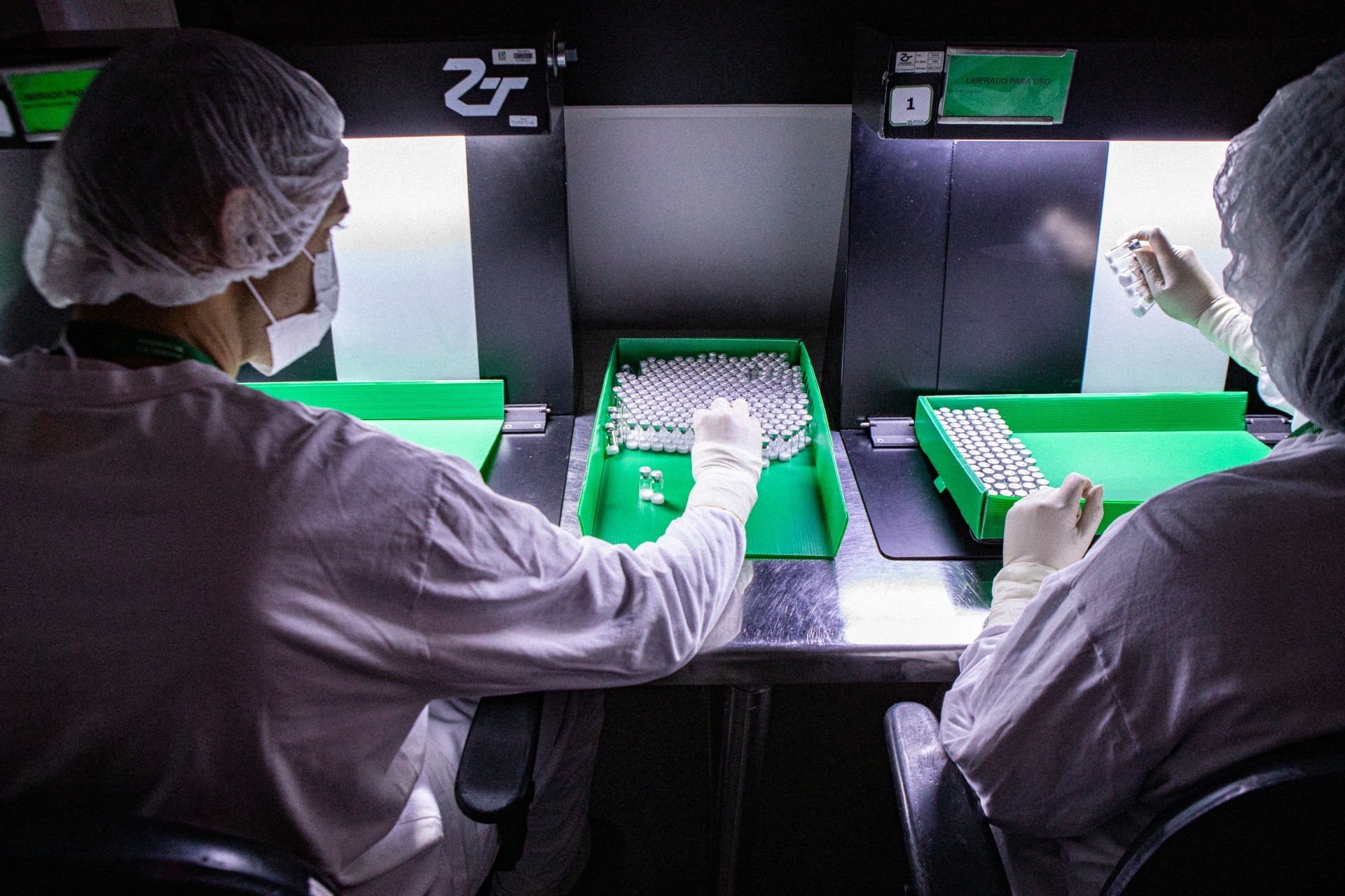 Nova vacina da dengue será testada em três cidades brasileiras; veja quais e como será estudo