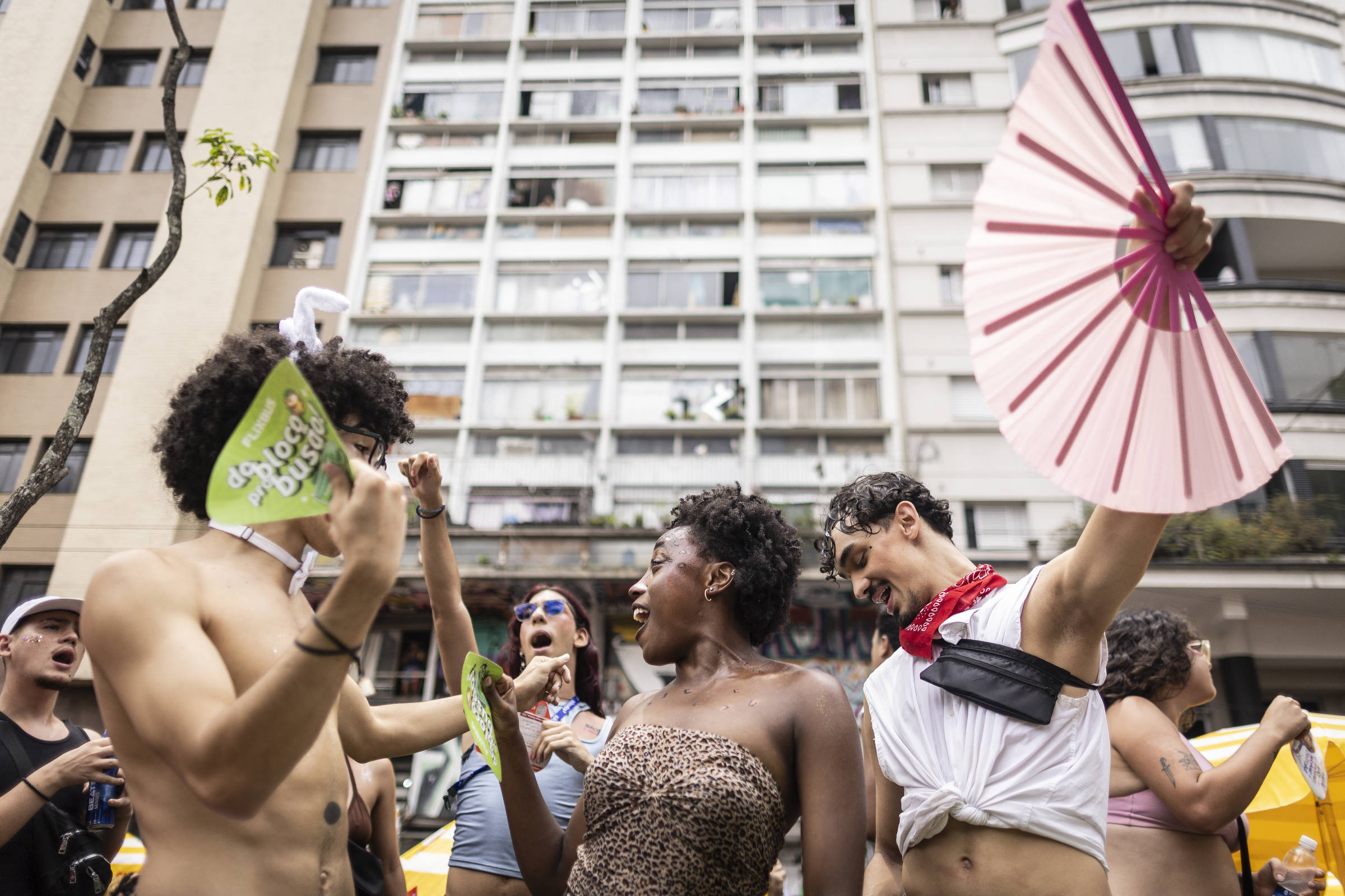 Ocupar as ruas no carnaval é dizer que a cidade é nossa - 17/02/2026 - Morte Sem Tabu