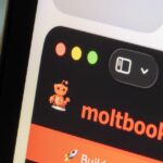 ‘Desastre iminente’: líderes de IA estão implorando para que as pessoas não usem o Moltbook